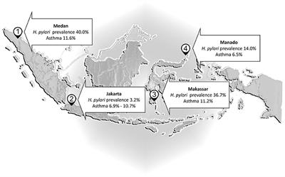 Helicobacter, Hygiene, Atopy, and Asthma